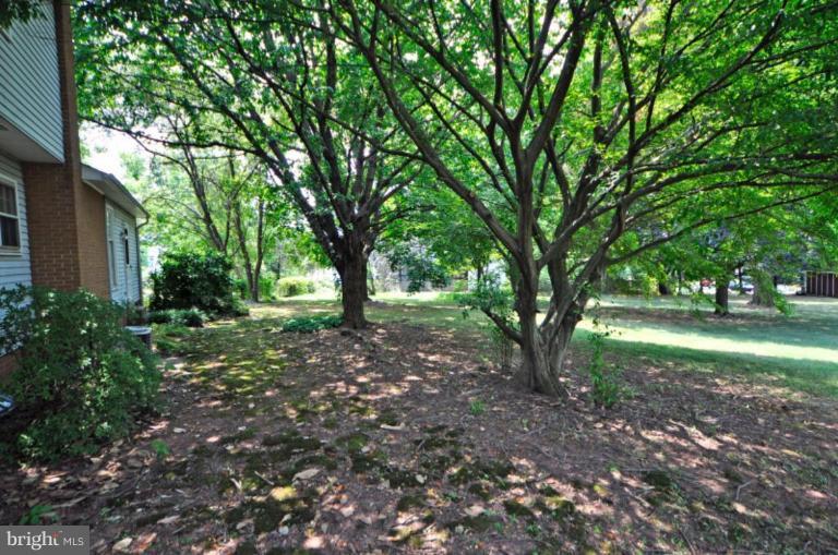 13601 Floris Street Herndon, VA 20171 - Photo 16 of 20 a view of outdoor space and trees