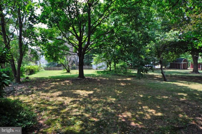 13601 Floris Street Herndon, VA 20171 - Photo 17 of 20 a view of a tree in the middle of a yard