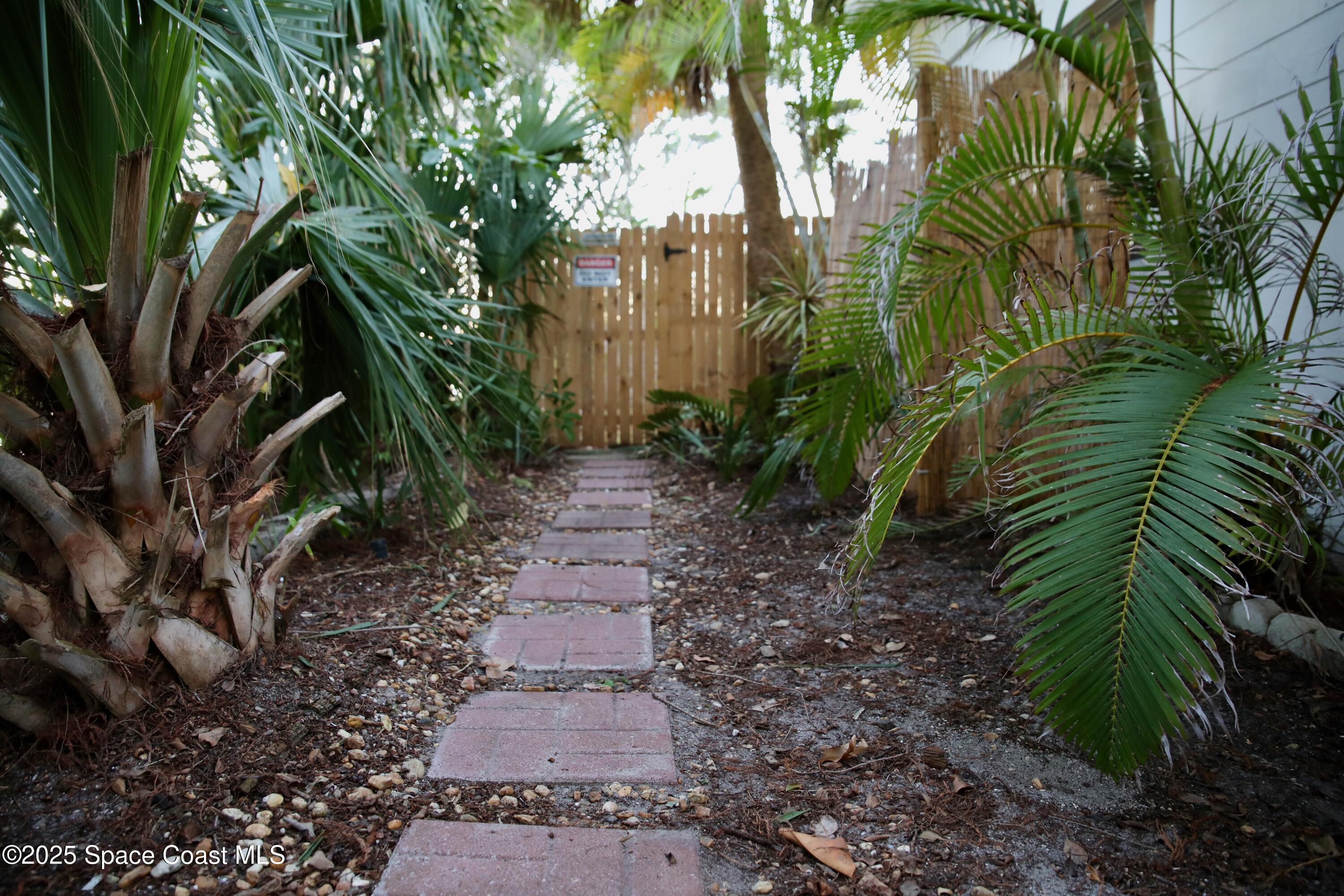 124 Aucila Road Cocoa Beach, FL 32931 - Photo 56 of 58 a backyard of a house with lots of green space