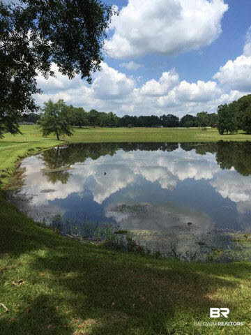 0 Deer Ridge Drive Wilmer, AL 36587 - Photo 17 of 17