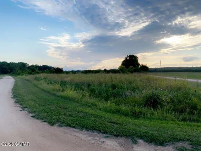 a view of a big yard with potted plants and sky view