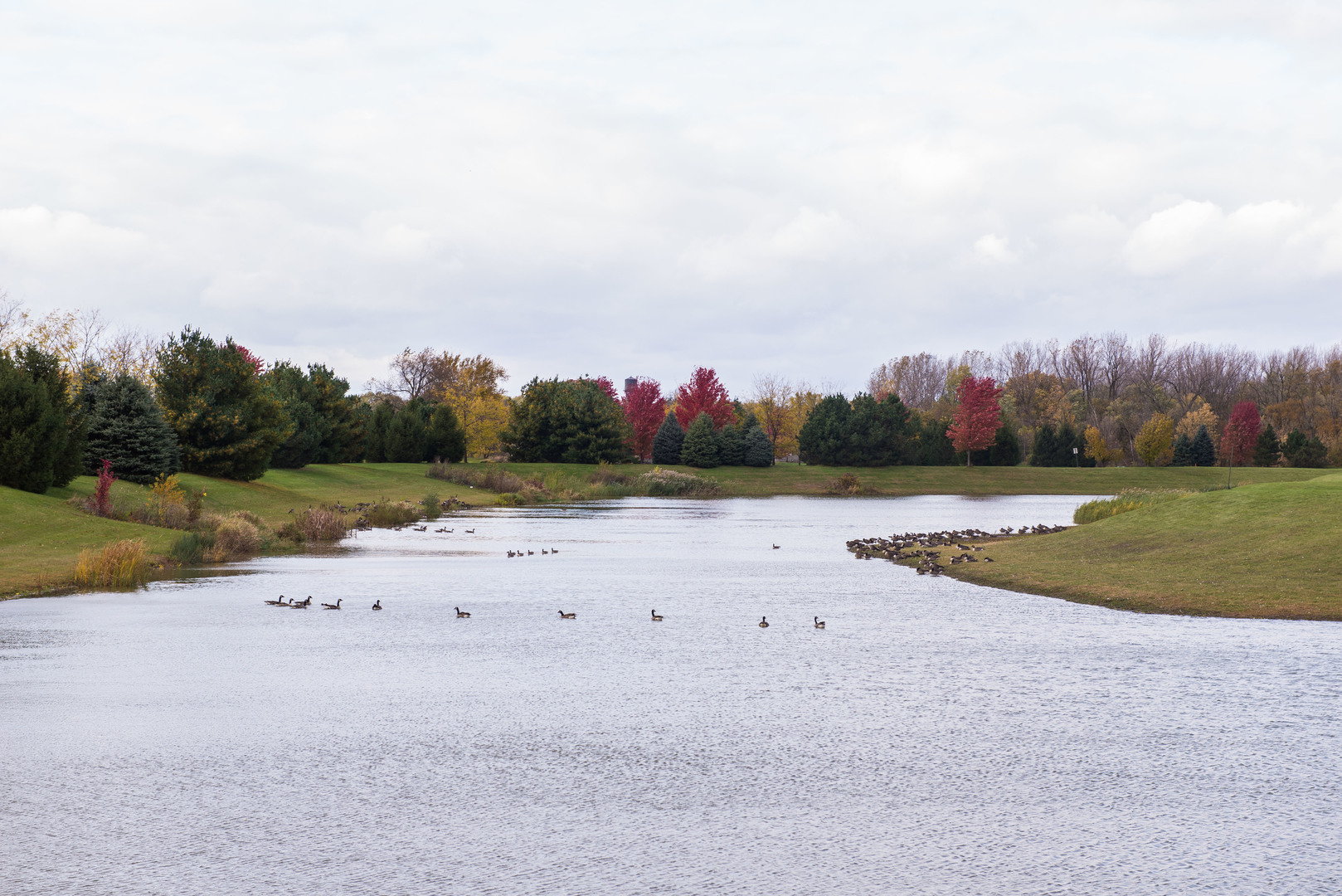 427 Preserve Drive Genoa, IL 60135 - Photo 3 of 4
