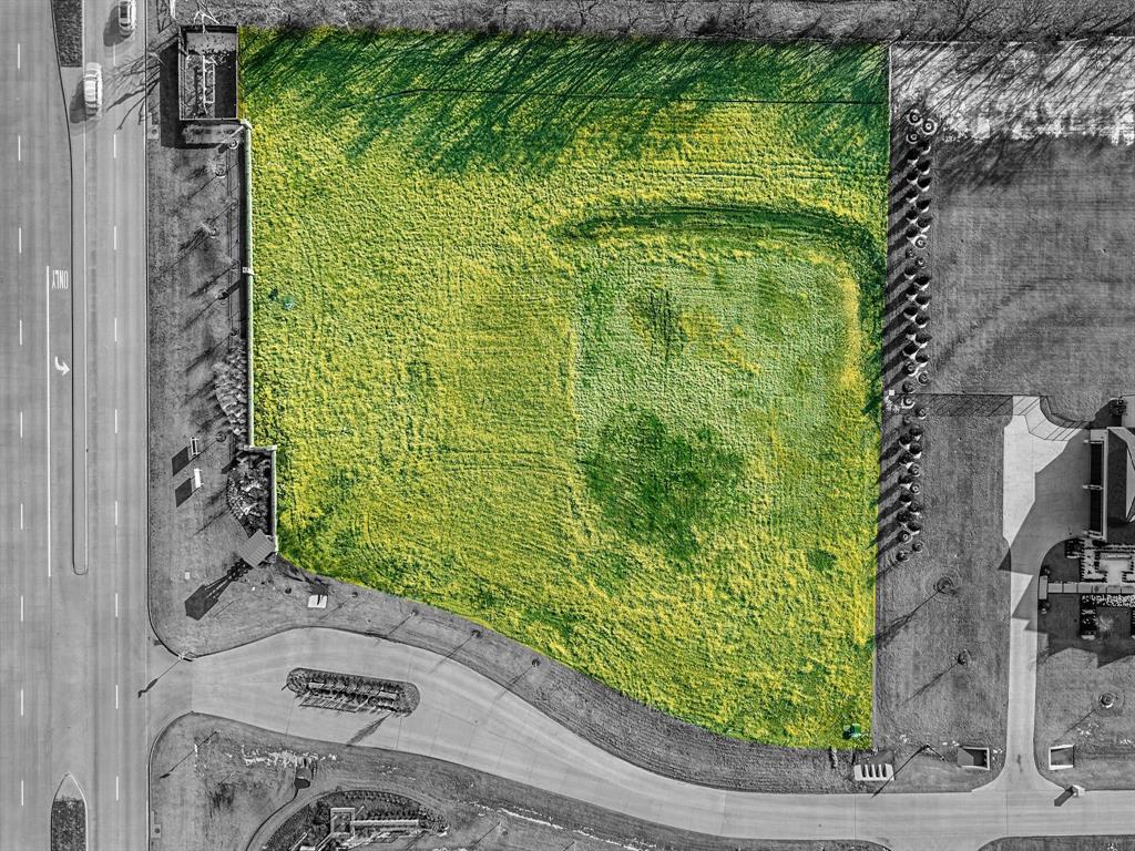 1502 Clydesdale Road Bartonville, TX 76226 - Photo 3 of 7 a plant that is sitting in front of a door