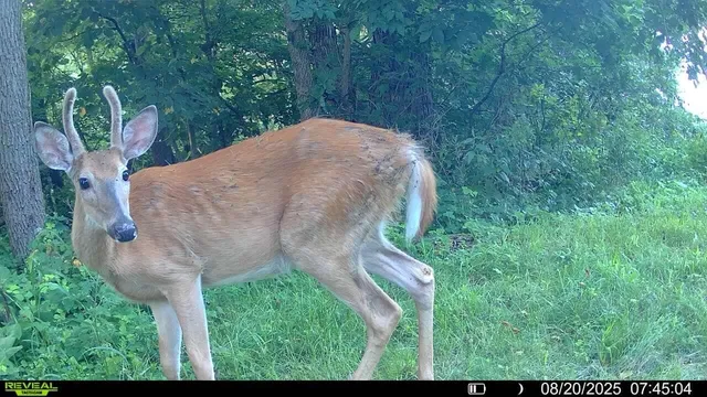 $495,000 | 15 Scenic Point Drive, De Soto, WI 54624