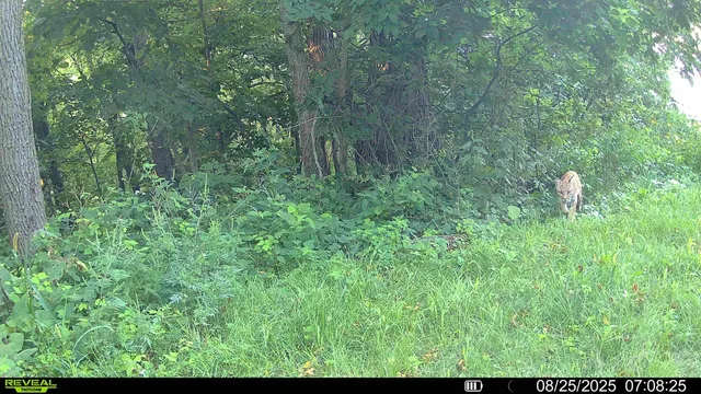 $495,000 | 15 Scenic Point Drive, De Soto, WI 54624