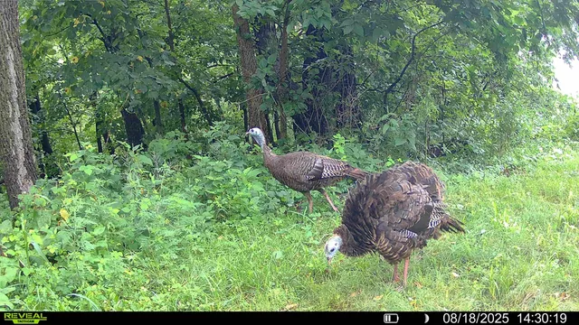 $495,000 | 15 Scenic Point Drive, De Soto, WI 54624