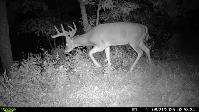 $495,000 | 15 Scenic Point Drive, De Soto, WI 54624