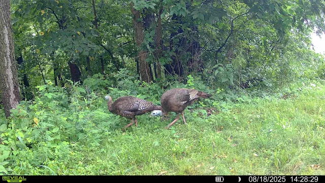 $495,000 | 15 Scenic Point Drive, De Soto, WI 54624