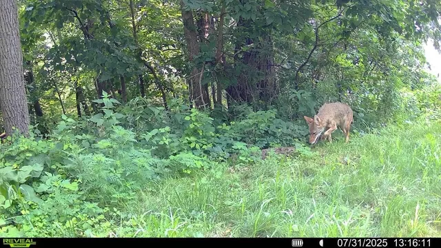 $495,000 | 15 Scenic Point Drive, De Soto, WI 54624