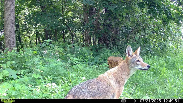 $495,000 | 15 Scenic Point Drive, De Soto, WI 54624