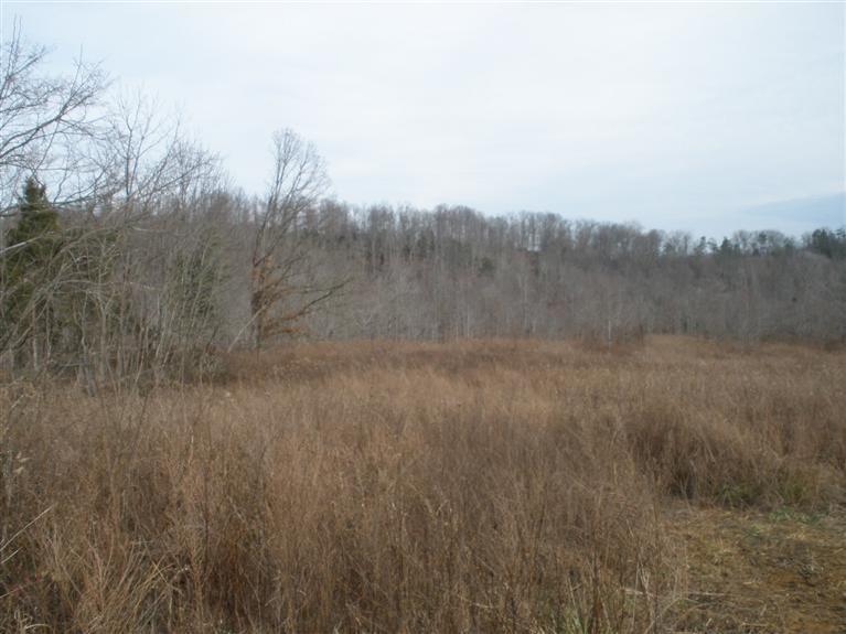 302 Hominy Hill Road Nancy, KY 42544 - Photo 1 of 7 Primary Photo