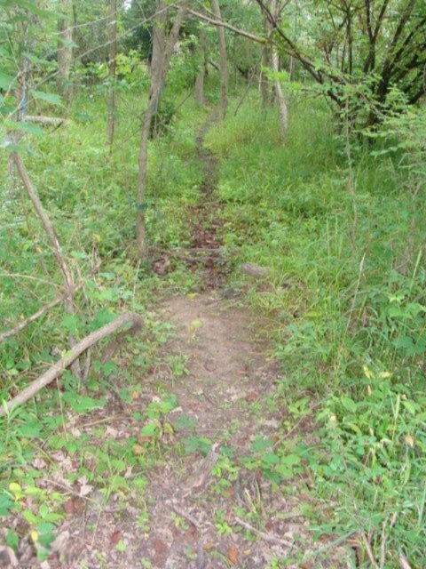 11435 South Croswell Road St. Johns, MI 48879 - Photo 14 of 39 DSC04279