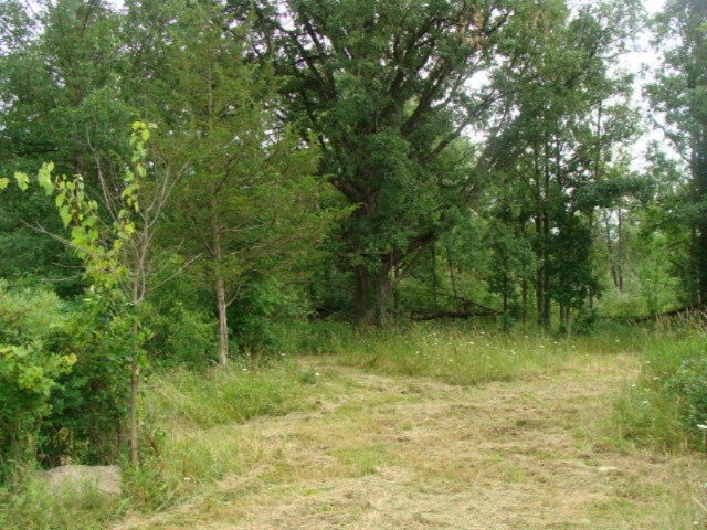 11435 South Croswell Road St. Johns, MI 48879 - Photo 17 of 39 DSC04282