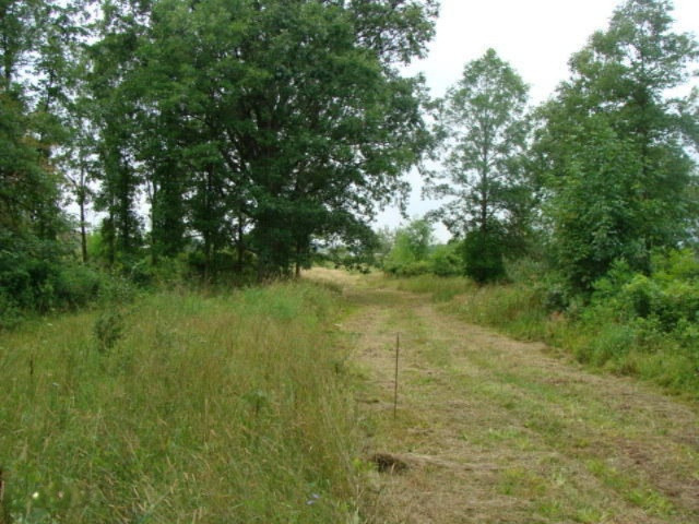 11435 South Croswell Road St. Johns, MI 48879 - Photo 19 of 39 DSC04284
