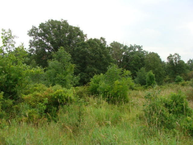 11435 South Croswell Road St. Johns, MI 48879 - Photo 26 of 39 DSC04291