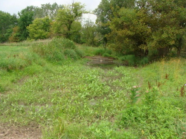 11435 South Croswell Road St. Johns, MI 48879 - Photo 27 of 39 DSC04292