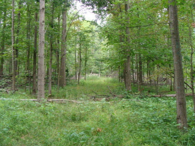 11435 South Croswell Road St. Johns, MI 48879 - Photo 4 of 39 DSC04273