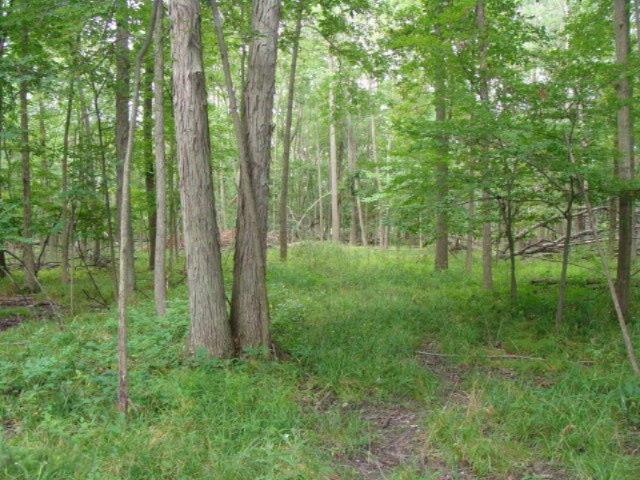 11435 South Croswell Road St. Johns, MI 48879 - Photo 6 of 39 DSC04275