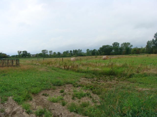 11435 South Croswell Road St. Johns, MI 48879 - Photo 8 of 39 DSC04269
