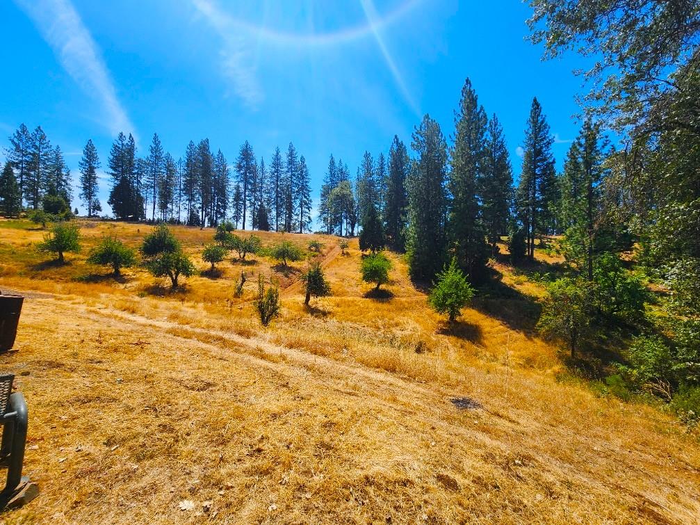 8822 Bailey Ridge Road Wilseyville, CA 95257 - Photo 23 of 40 Gallery Image 23
