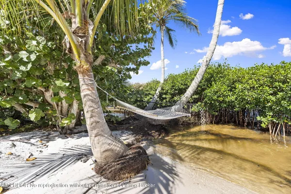 a front view of a house with a garden and tree