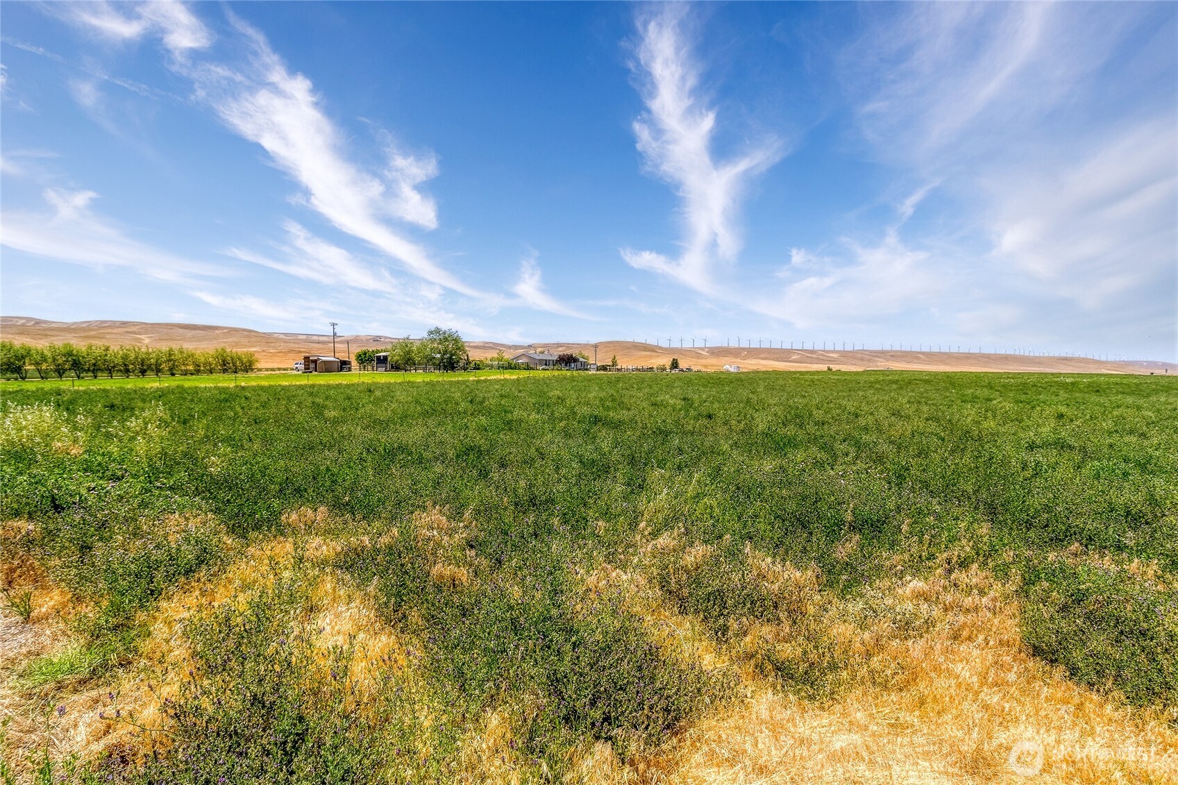 1247 Watson Loop Touchet, WA 99360 - Photo 39 of 40