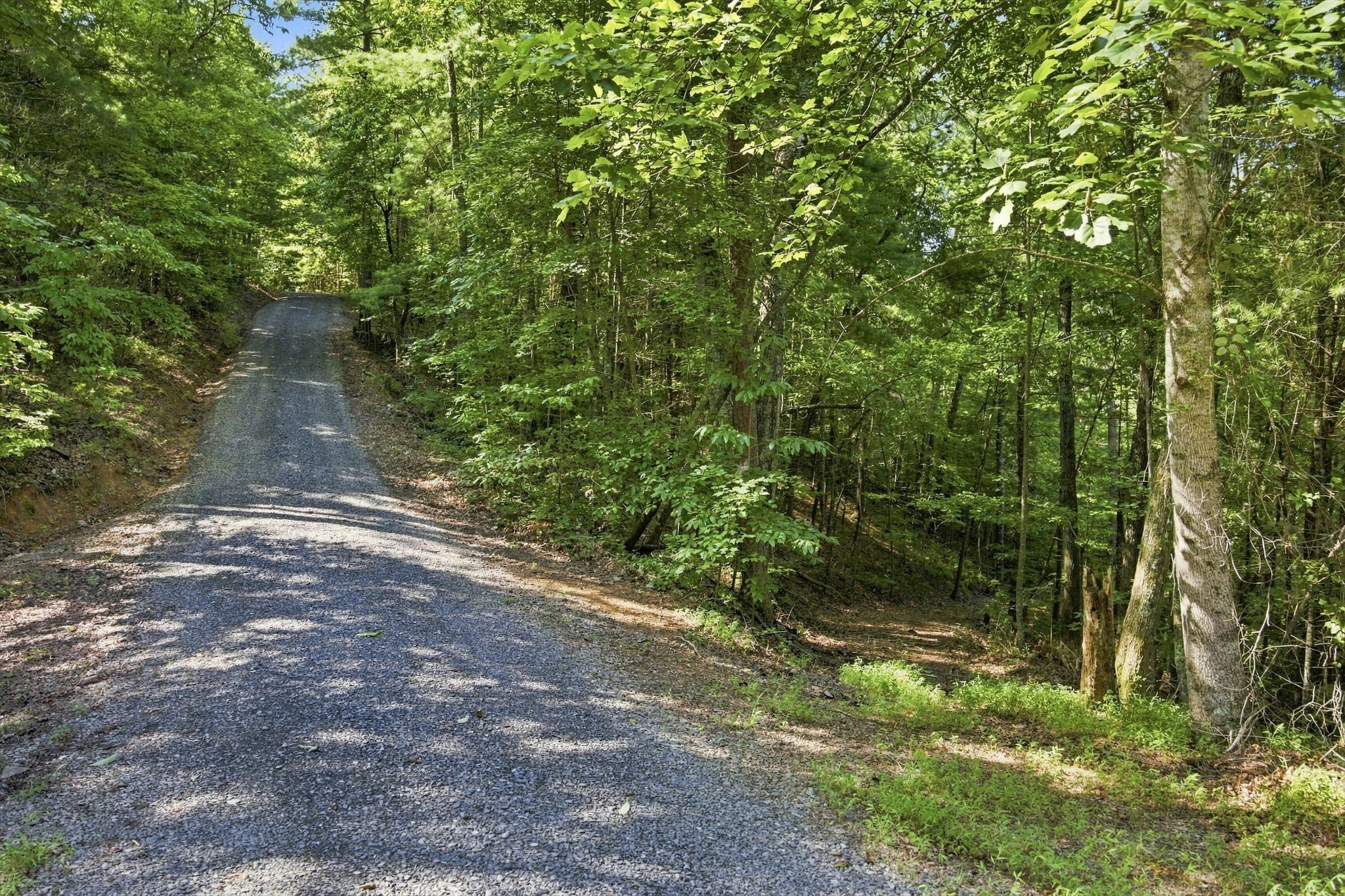 204 High Top Road Reliance, TN 37369 - Photo 11 of 13 Gallery Image 11