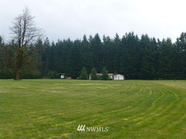 17610 Jordan Street Southwest Rochester, WA 98579 - Photo 2 of 23