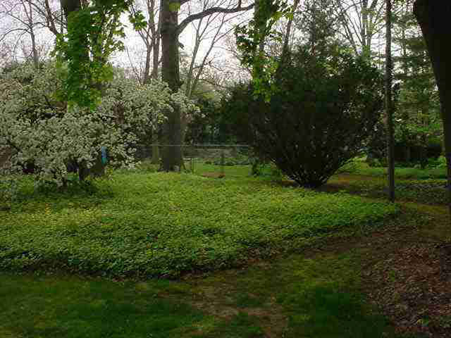 224 Gorham Road Goshen, IN 46528 - Photo 4 of 22 Gallery Image 4