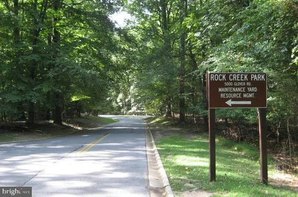 a view of a park that has large trees