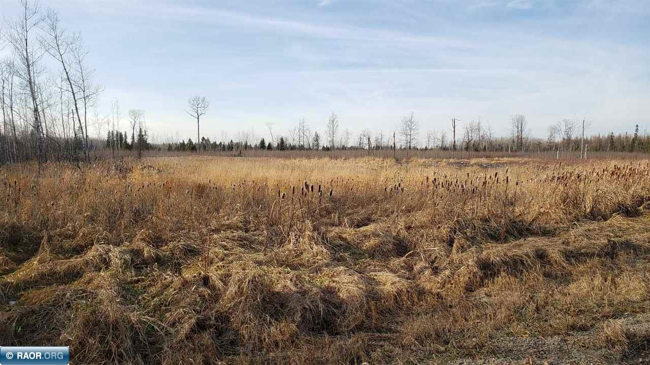 Tbd Alango Road Cook, MN 55723 - Photo 1 of 5