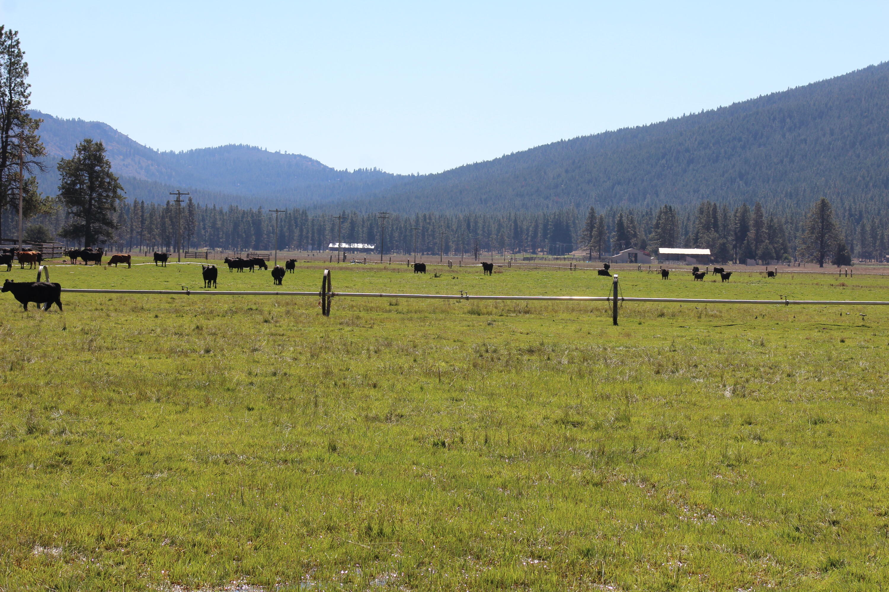 12046 Old Fort Road Klamath Falls, OR 97601 - Photo 25 of 59