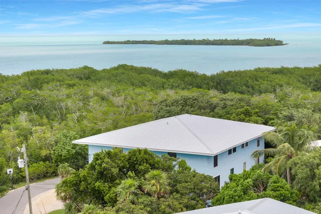 a view of a lake with a mountain in the background