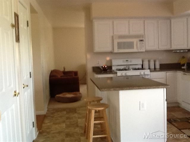 3145 East Burnside Road North Branch, MI 48461 - Photo 7 of 22 31208617-6.JPG