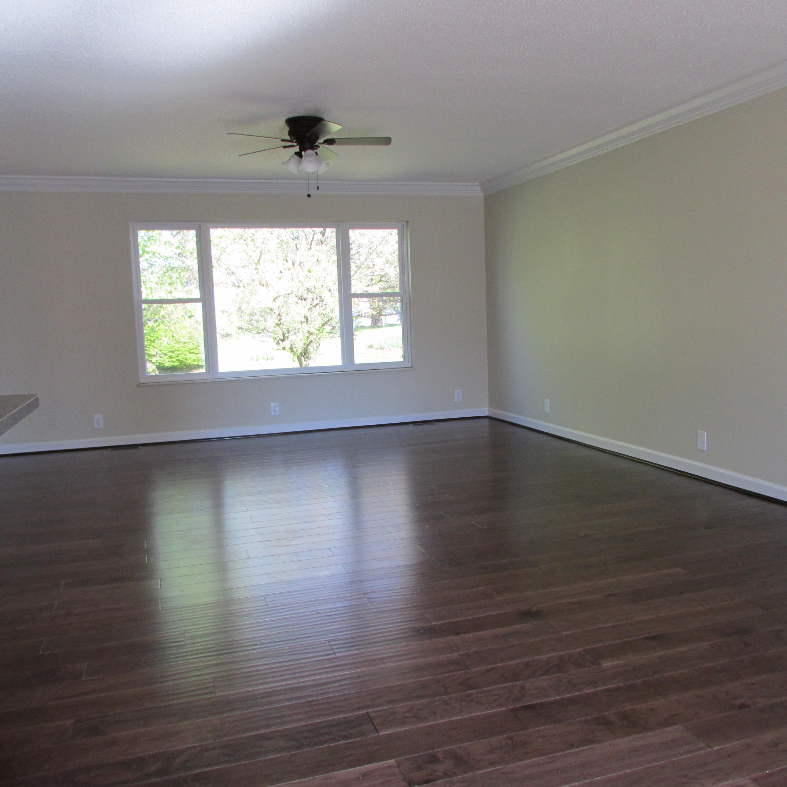 7501 Gibbs Road Corryton, TN 37721 - Photo 13 of 38 Gibbs Rd 111
