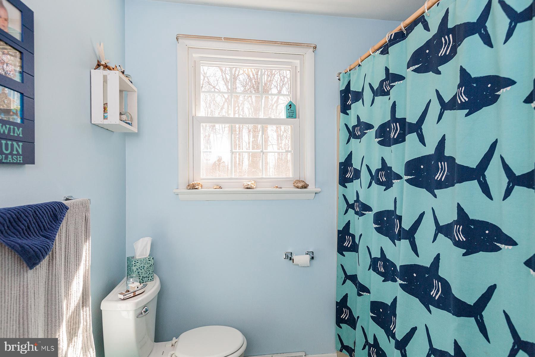 536 Wood View Drive Lititz, PA 17543 - Photo 46 of 66 Gallery Image 46
