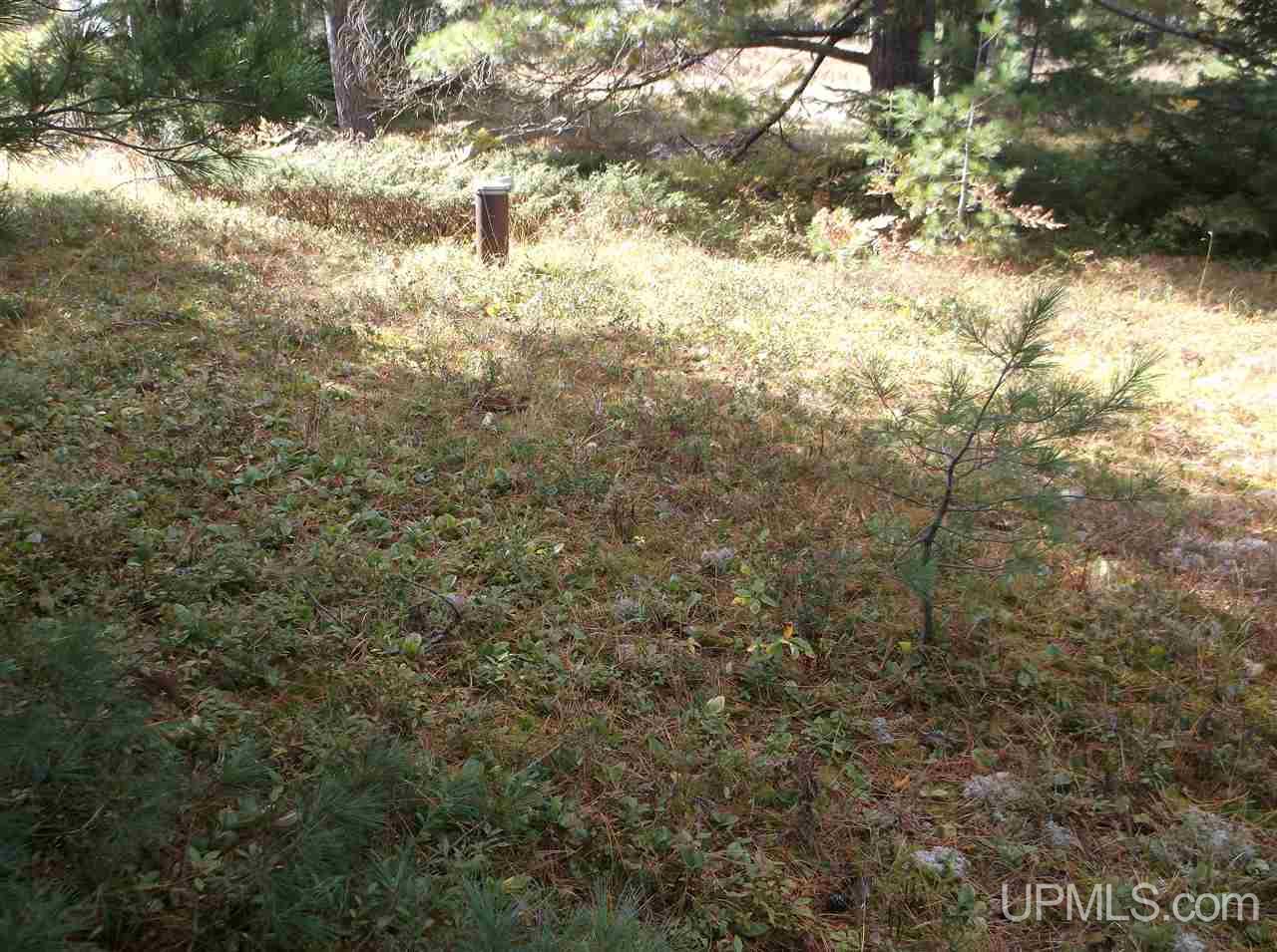 Tbd Bete Gris Road, Unit 26 & 37 Mohawk, MI 49950 - Photo 6 of 22 Gallery Image 6