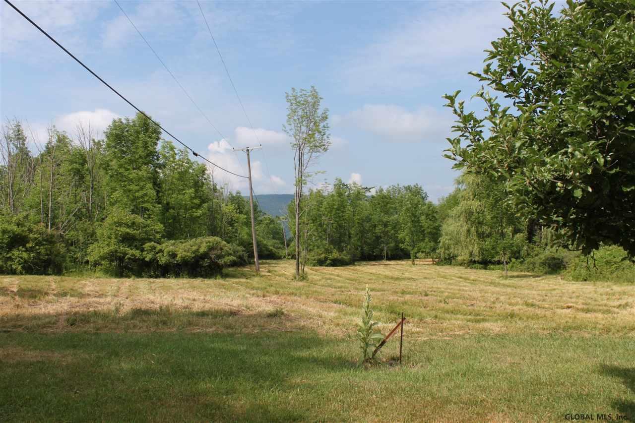 Smith Road Preston Hollow, NY 12469 - Photo 12 of 25 Photo 12
