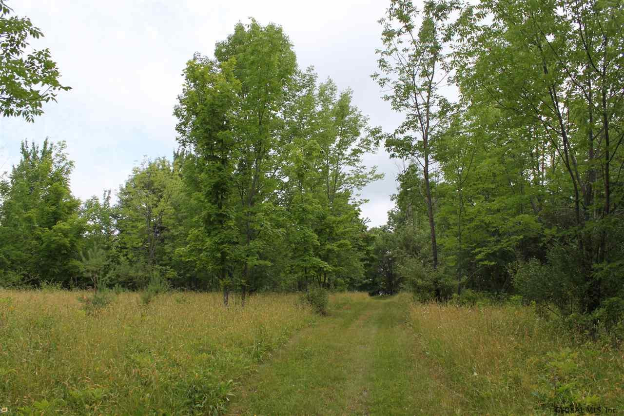 Smith Road Preston Hollow, NY 12469 - Photo 15 of 25 Photo 15
