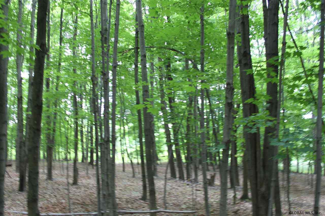 Smith Road Preston Hollow, NY 12469 - Photo 16 of 25 Photo 16