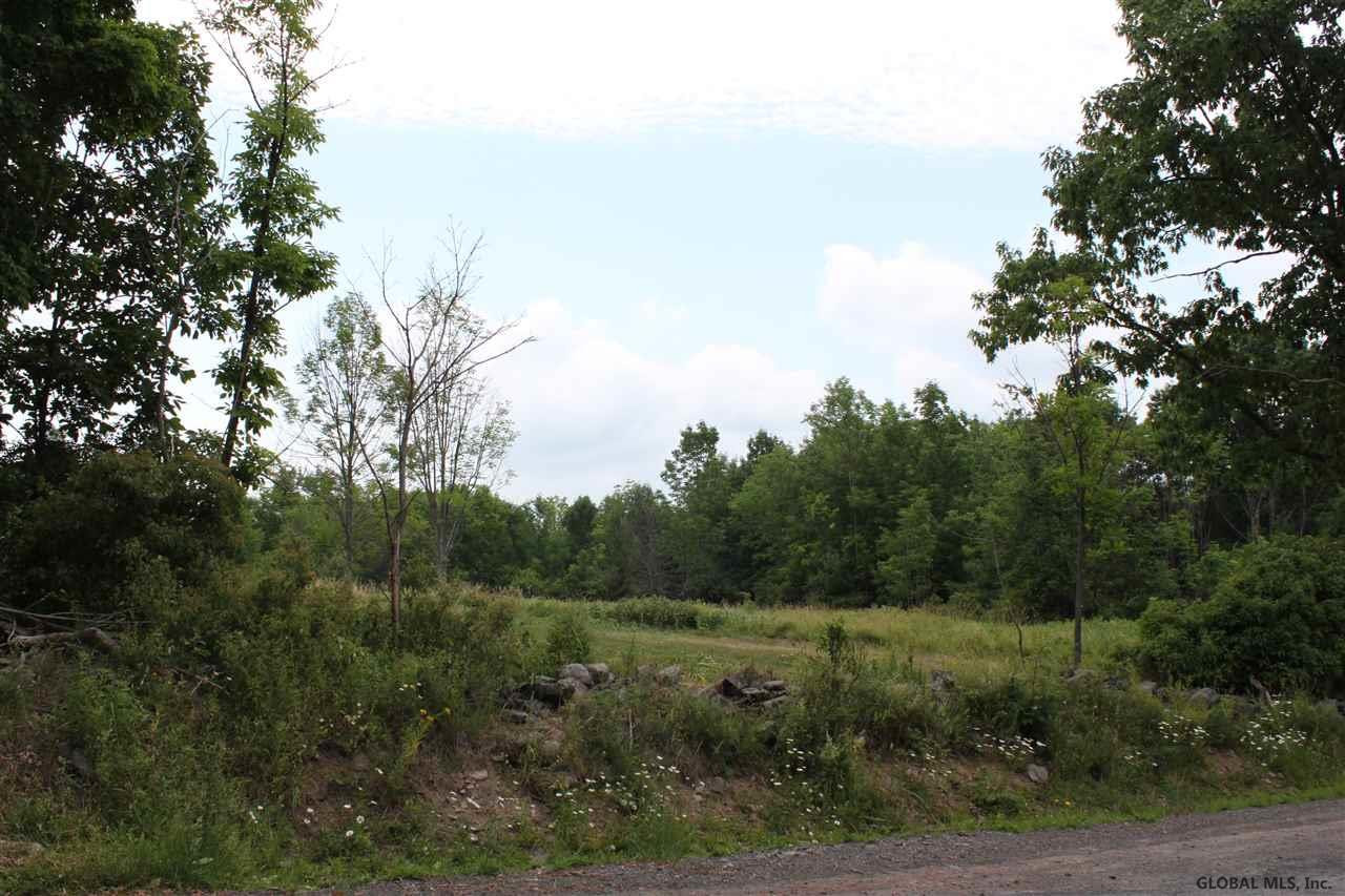 Smith Road Preston Hollow, NY 12469 - Photo 18 of 25 Photo 18