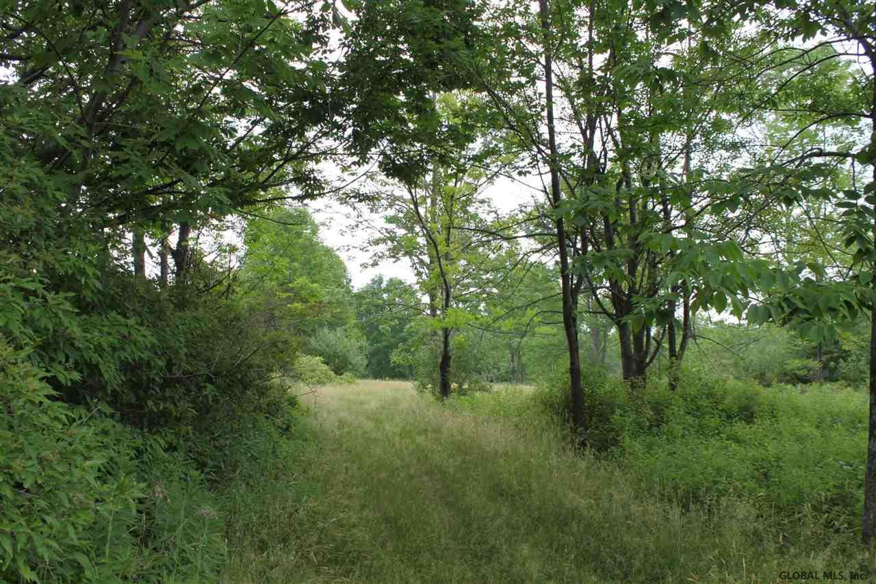 Smith Road Preston Hollow, NY 12469 - Photo 21 of 25 Photo 21