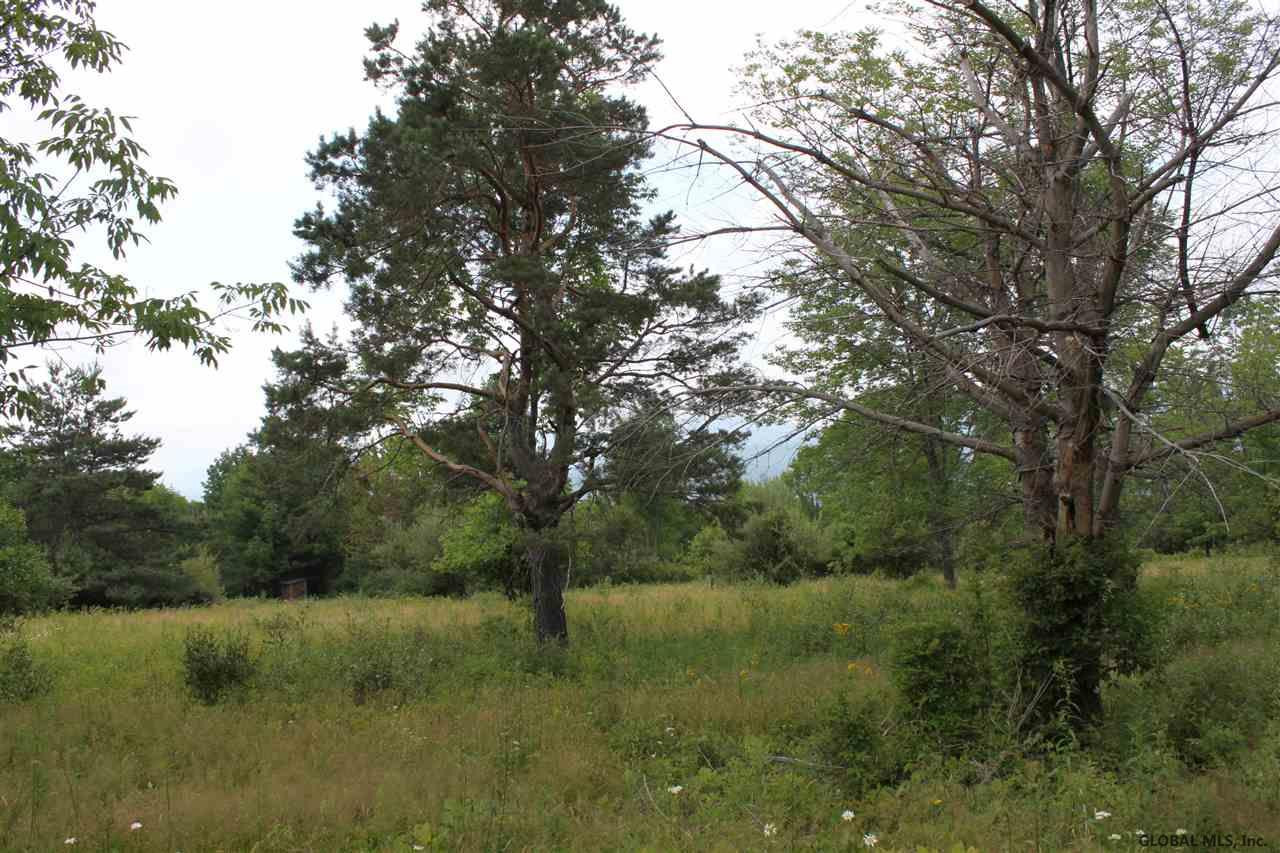 Smith Road Preston Hollow, NY 12469 - Photo 22 of 25 Photo 22
