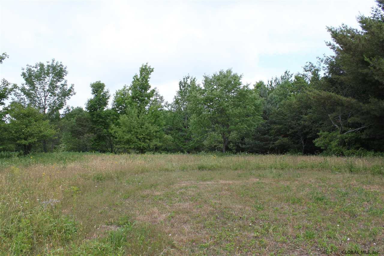 Smith Road Preston Hollow, NY 12469 - Photo 23 of 25 Photo 23