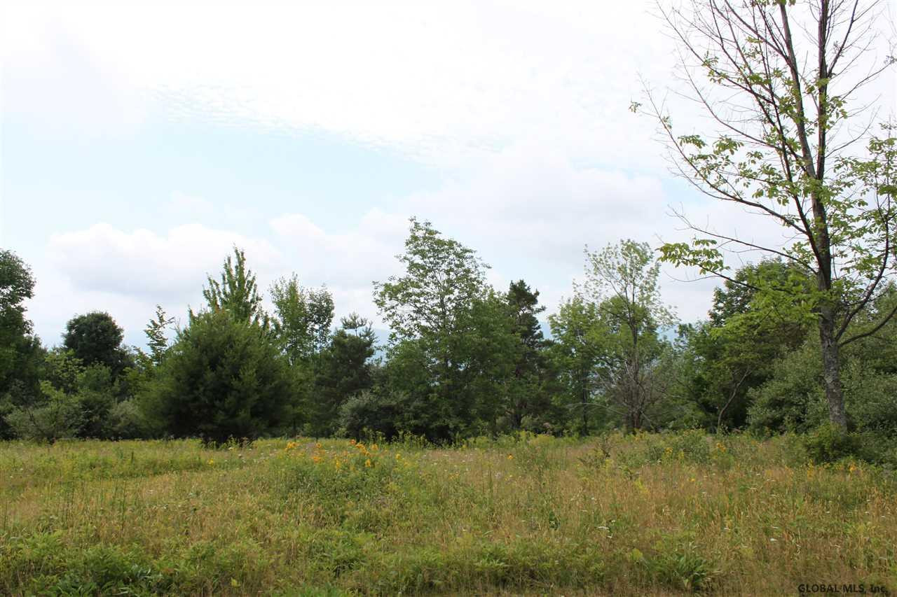 Smith Road Preston Hollow, NY 12469 - Photo 24 of 25 Photo 24