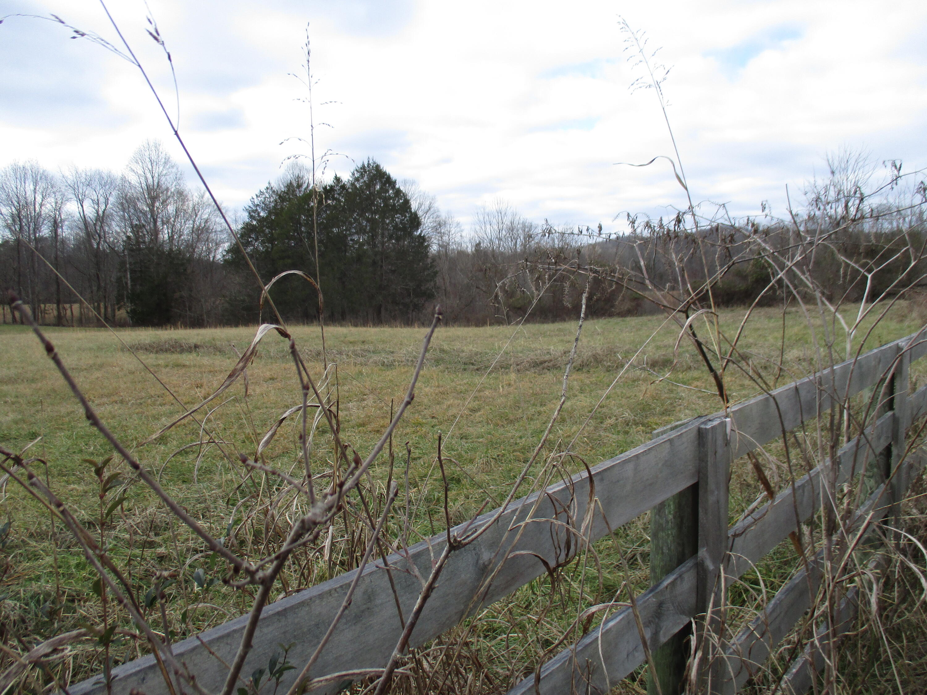 1015 Louden Road Williamsburg, KY 40769 - Photo 6 of 22 IMG_9455