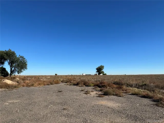 a view of a dry yard with trees