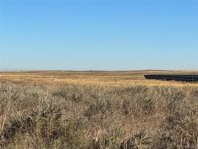 a view of a field with trees