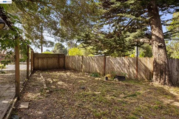 a view of backyard with tree