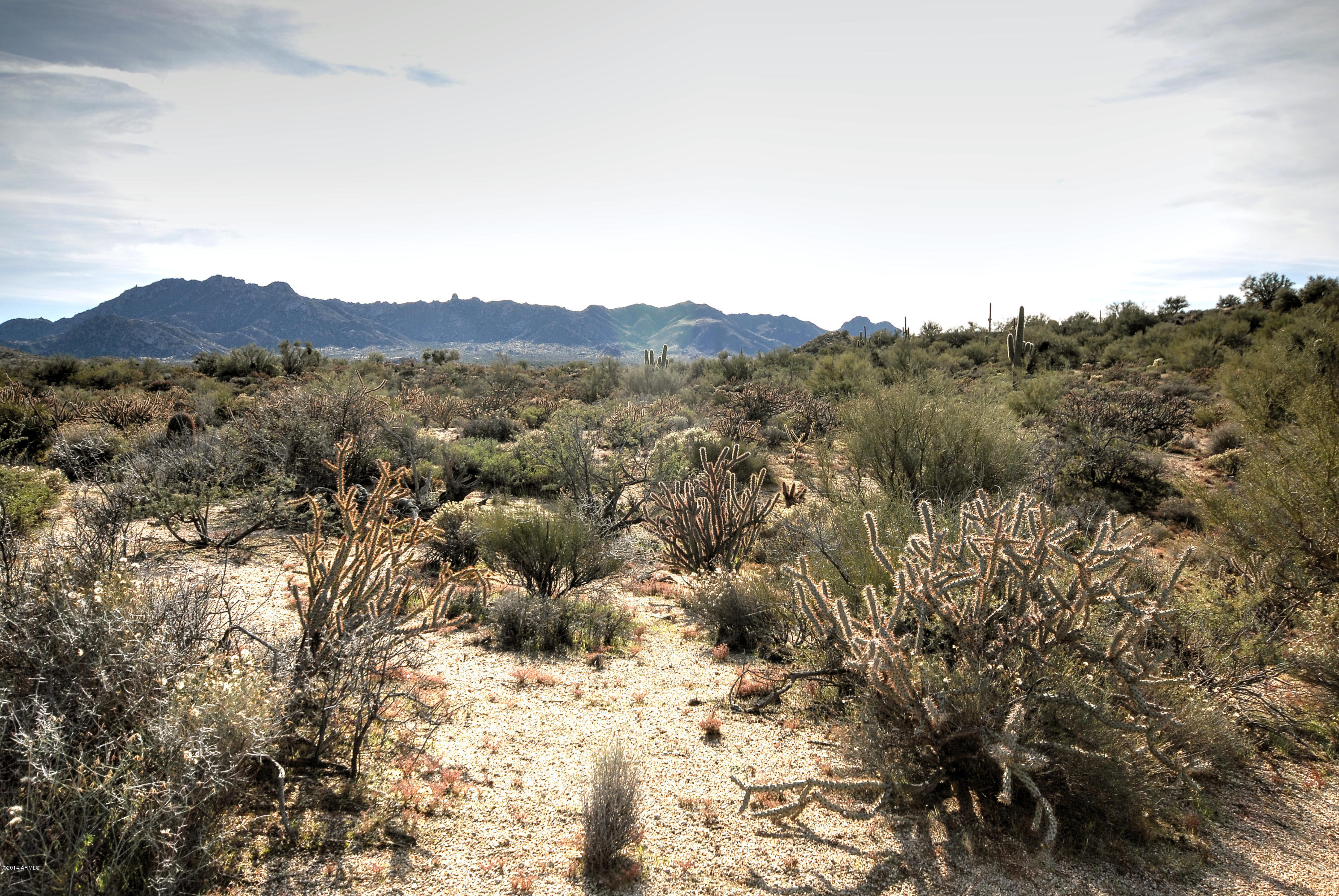 13502 East Jomax Road Scottsdale, AZ 85262 - Photo 42 of 50 a view of a forest with mountains in the background